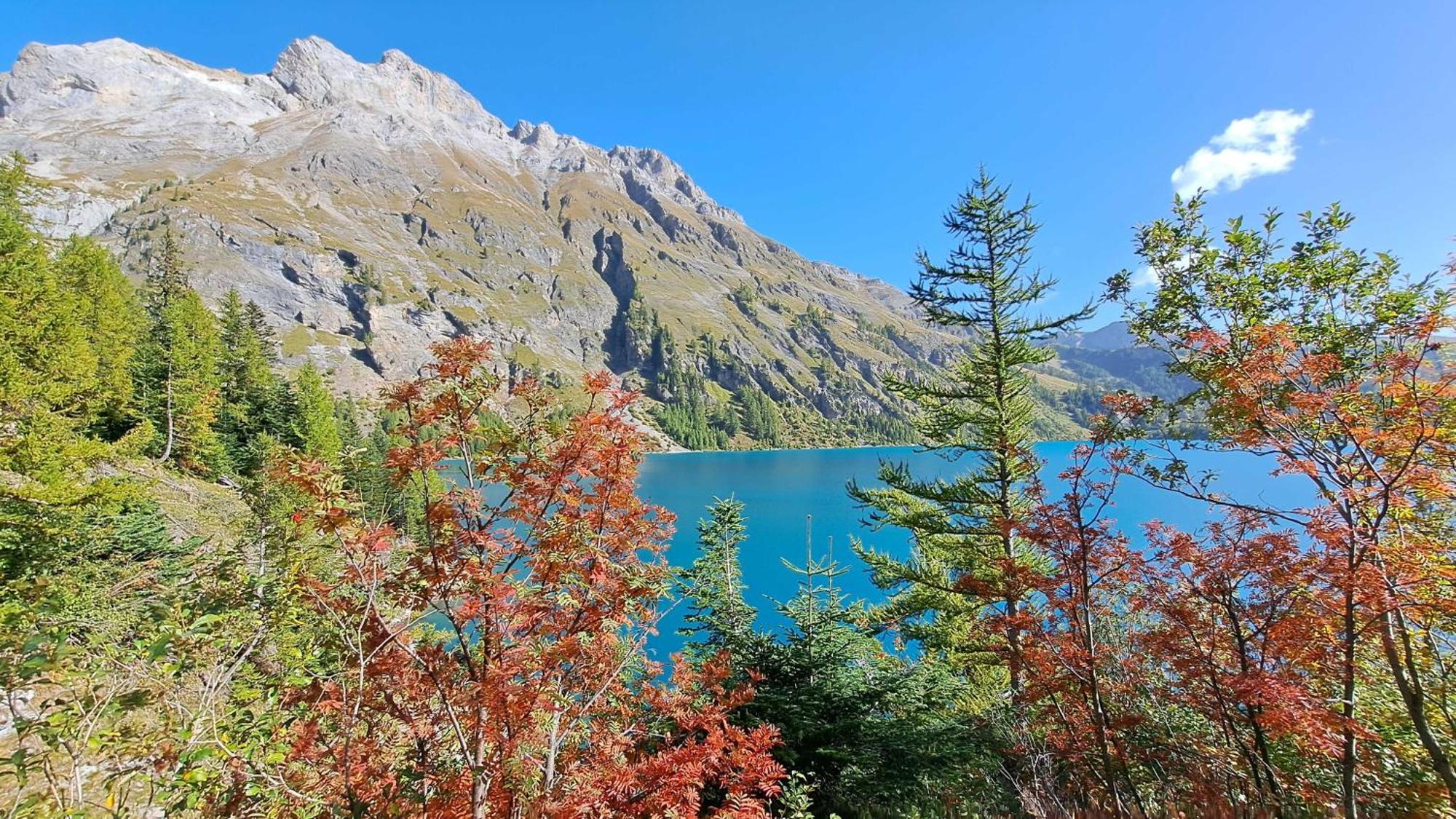 Chalet Diognysos B&B, Boutique Hotel & Wellness Crans-Montana Eksteriør bilde